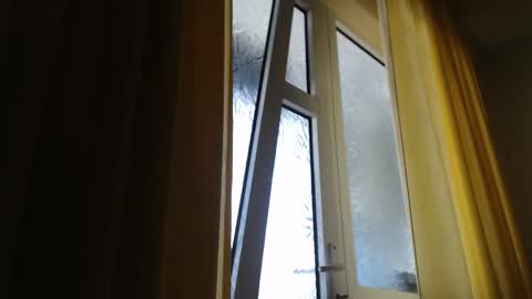 Steven online show from March 11, 8:28 am