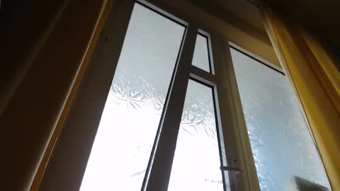 Steven online show from November 12, 11:34 am