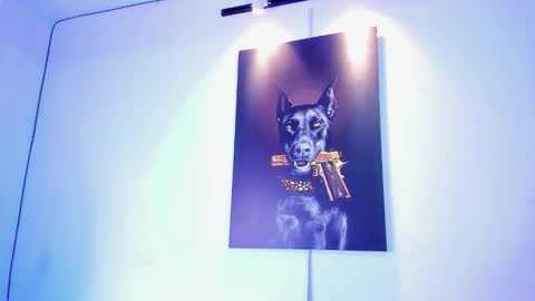 Stiven  brendan online show from November 28, 7:05 am