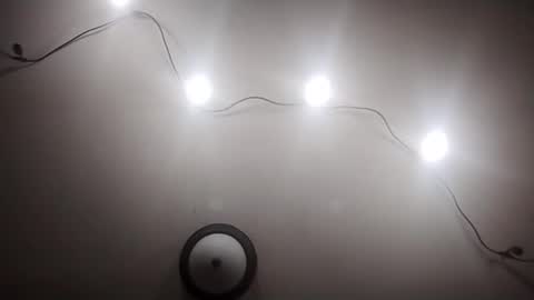 Oval2022 online show from March 19, 11:59 am