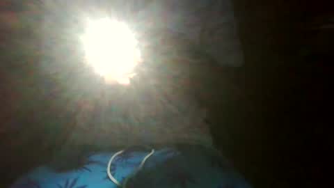 stonehardbbcdick1 online show from June 17, 3:33 am