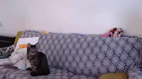 Strawberrylotsacake online show from January 6, 4:55 pm