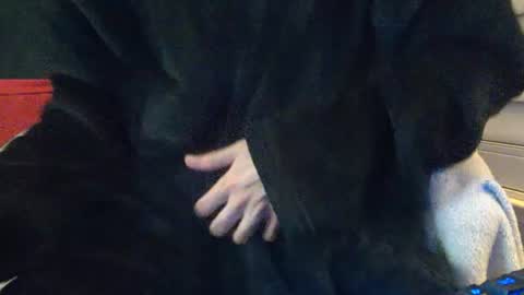 Dong Stroker online show from July 18, 8:27 am