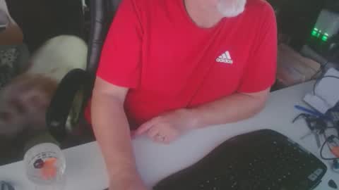 Studley Hardcock online show from February 1, 12:52 am