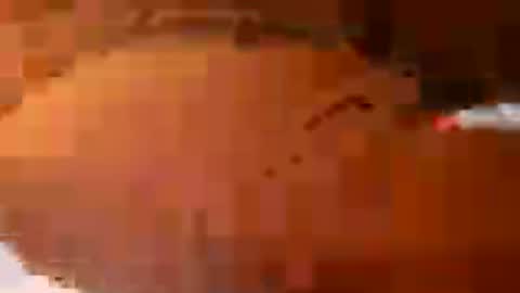 subalexandria online show from June 26, 3:06 pm