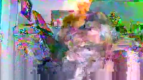 SUCKITU812 online show from October 26, 2:45 am