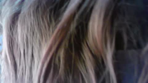 summer 09 online show from March 11, 4:04 am