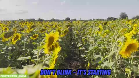 Tina. Im topless model  online show from November 17, 9:01 am