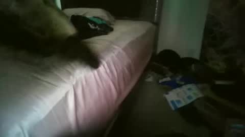 Embarrassed Sissy Slut online show from March 10, 10:13 pm