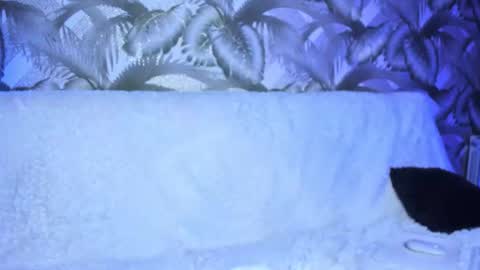 Luna Ootsutsuki online show from September 19, 4:38 am