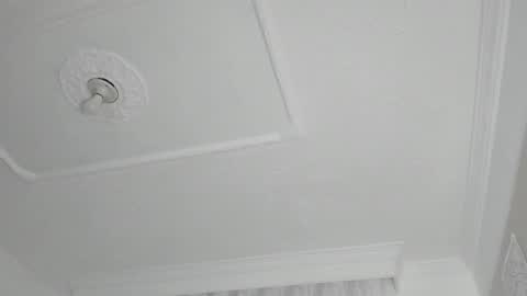 Fia online show from February 2, 7:41 am