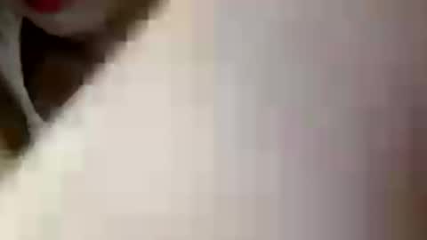 Nina online show from August 1, 12:40 pm