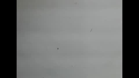 sweetnectarx online show from November 10, 5:48 pm