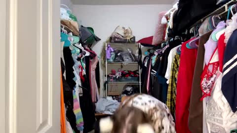 Jennah online show from February 1, 6:49 pm