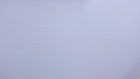 Snapshot of tamara_slimx chatting on February 9, 9:47 am Tamara online show from February 9, 9:47 am