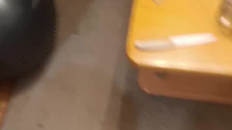 ass to fuck online show from March 9, 10:25 pm