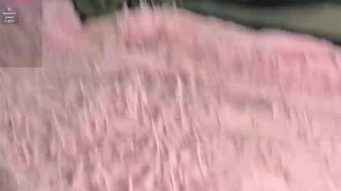 Alice     online show from May 5, 12:17 am
