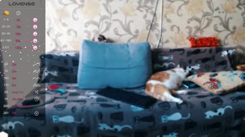 Ada  online show from December 19, 10:22 am