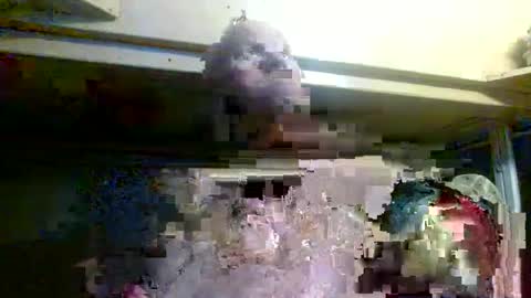 Snapshot of terdy2366 chatting on October 22, 7:33 am terdy2366 online show from October 22, 7:33 am
