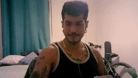 Milo online show from November 4, 3:41 am