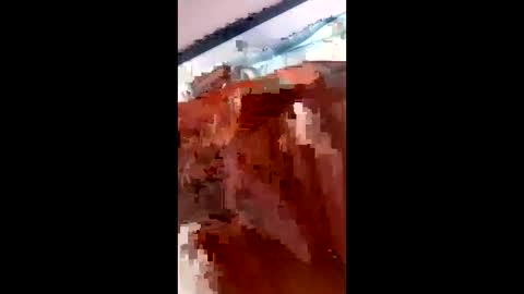 teteu205 online show from March 6, 5:34 pm