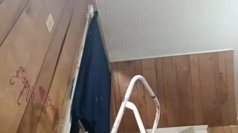 TexasDick online show from July 14, 8:14 pm