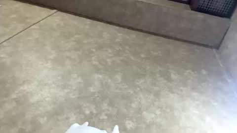 thatdaggerdick online show from October 17, 2:04 am