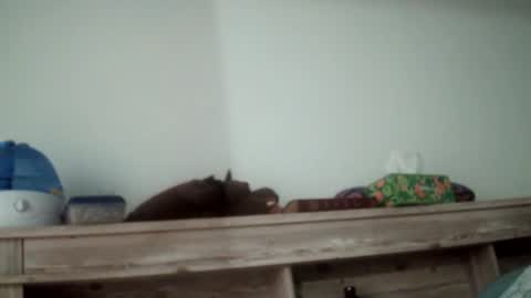 the_sam_ online show from November 27, 4:31 am