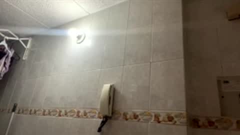 Paulette online show from December 15, 4:30 am