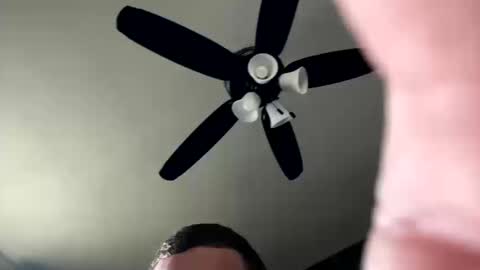 thecock431 online show from October 18, 9:19 pm