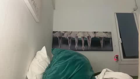 thecontcobracock24cm online show from February 14, 4:58 am