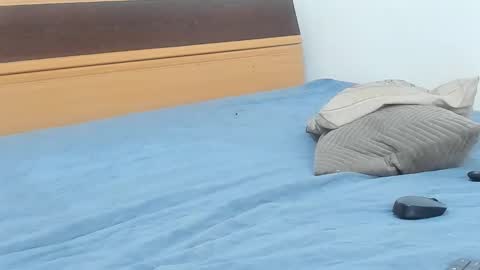 thegiselle online show from February 19, 12:15 pm