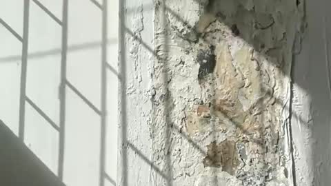 Lucy Lucy online show from September 23, 8:26 pm