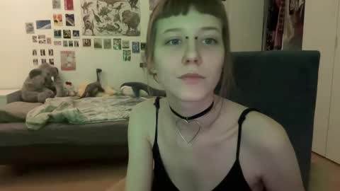 Snapshot of thesearchofgod chatting on December 29, 12:41 am LISA online show from December 29, 12:41 am