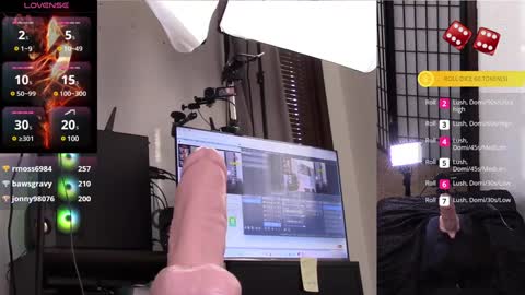 Snapshot of thewillowfox chatting on January 28, 9:08 pm The Willow Fox online show from January 28, 9:08 pm