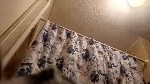 Thickamber online show from March 20, 10:53 am