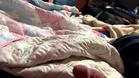 thickdic44 online show from February 12, 6:40 pm