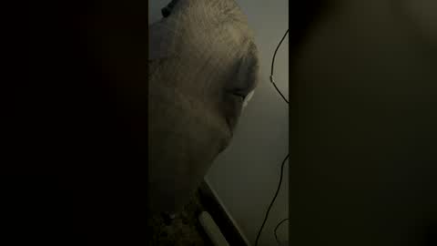 thicnesmonsta online show from June 14, 2:35 am