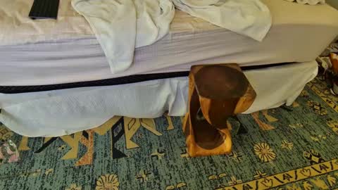 ThongMuscle online show from September 16, 9:07 pm