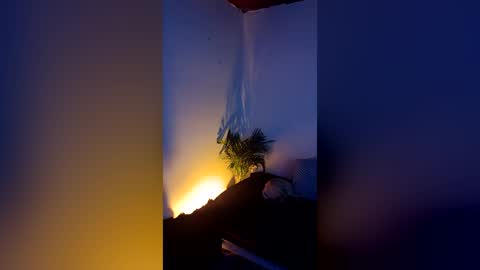 TIAN online show from July 29, 3:39 am