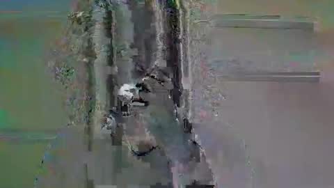 tifa_lockheart online show from April 11, 11:03 am