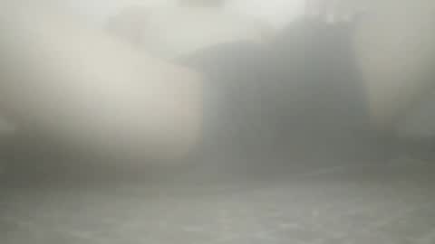 tiger005588 online show from November 21, 9:07 am