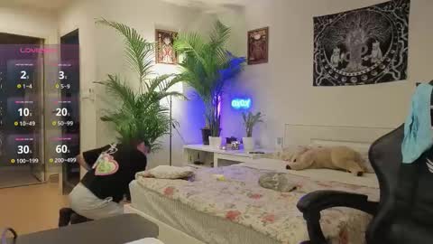 Tima Lexikov online show from October 13, 6:15 am