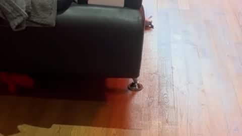 Snapshot of timplaw chatting on September 11, 12:17 pm Timplaw online show from September 11, 12:17 pm