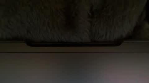 Snapshot of timplaw chatting on February 11, 1:20 pm Timplaw online show from February 11, 1:20 pm