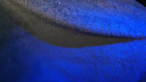 tinkertrain420 online show from January 22, 7:25 am