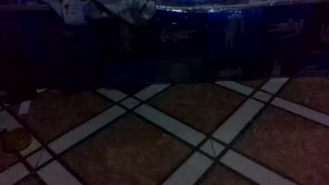 tino1roy online show from March 24, 7:14 am