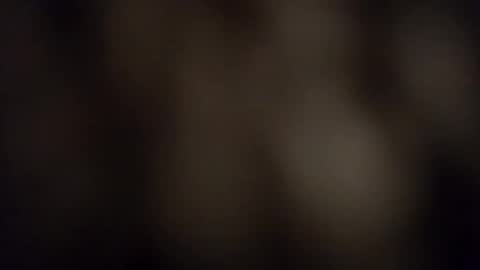 Vols online show from December 2, 1:37 am