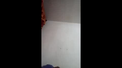 tobe557337 online show from December 6, 8:10 am