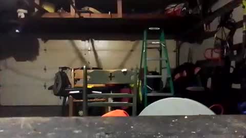 todayistheday86 online show from November 10, 10:40 am